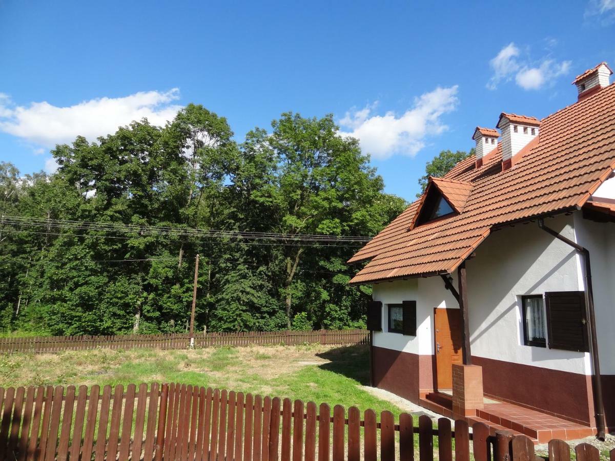 Dom U Janiny Villa Sułkowice Eksteriør billede